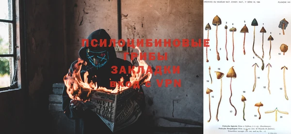 ешки Алексин