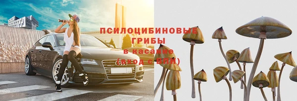 соль ск Алзамай