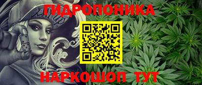 прущие крисы Кингисепп