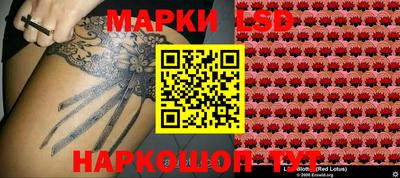 дживик Кимры