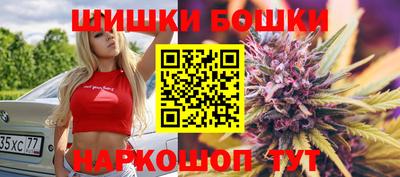 прущие крисы Кингисепп