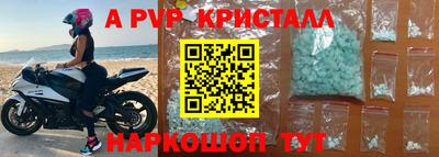 прущие крисы Кингисепп