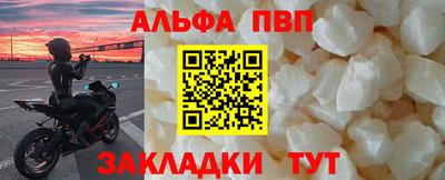 прущие крисы Кингисепп