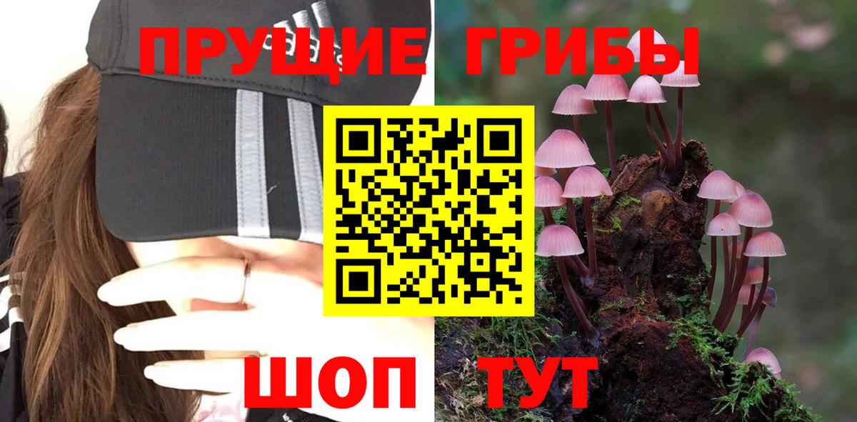 Меф   Лсд 25  Гашиш  Пушкино  Меф  МАРИХУАНА  Кокаин  Вход с VPN  МДМА  НБОМе 