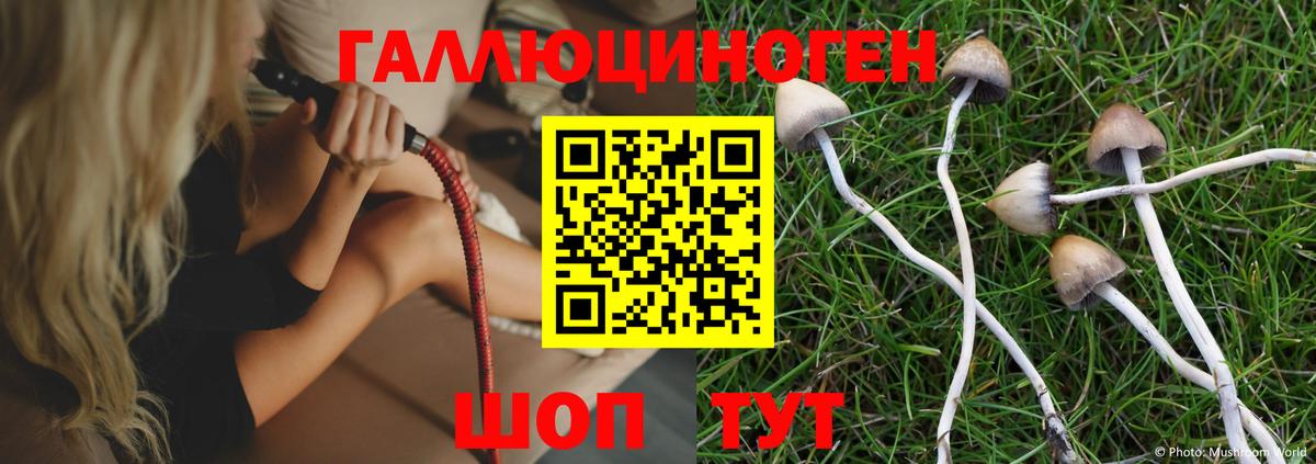 Псилоцибиновые грибы мухоморы  Вход с VPN  Пушкино 